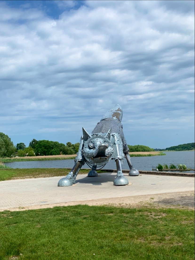 Iron Fox (Geležinė lapė)